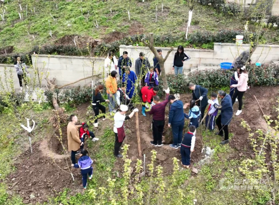 植树节 融汇沙小师生家长为校园添绿178