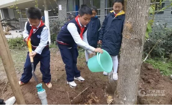 植树节 融汇沙小师生家长为校园添绿180