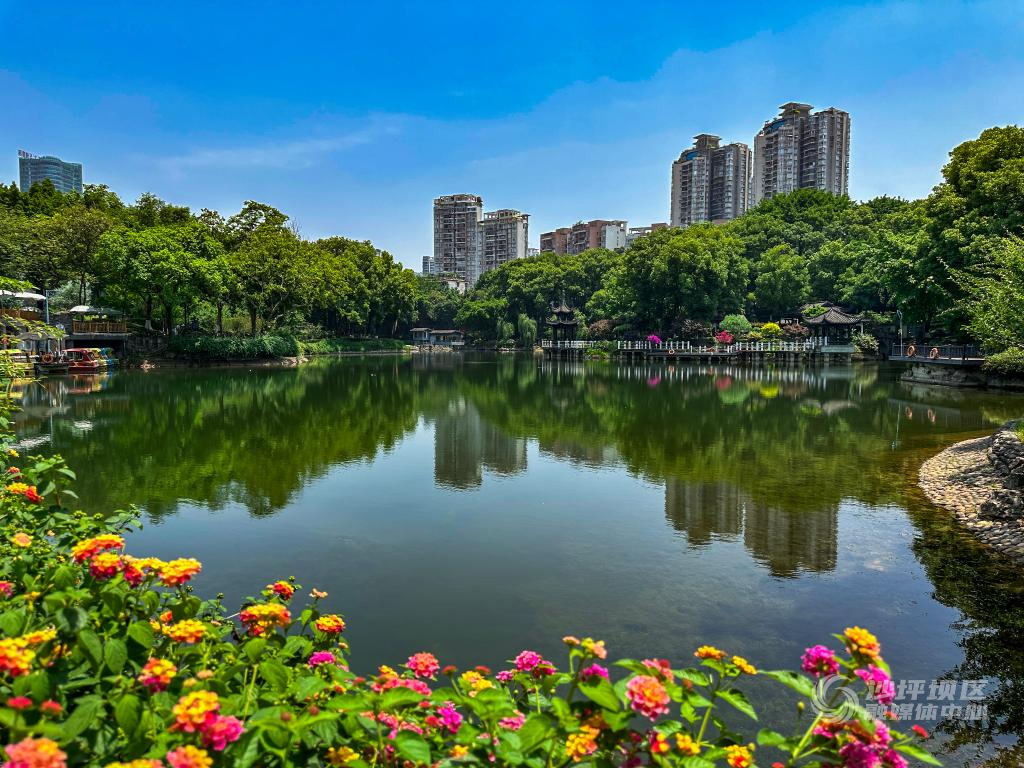 73dcd9e11b48252c1916-nep1_20240311_c002419832