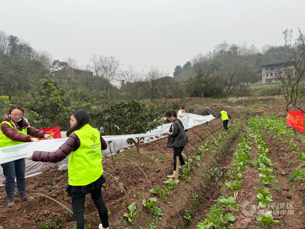 微信图片_20240311104152-nep1_20240311_c002419777