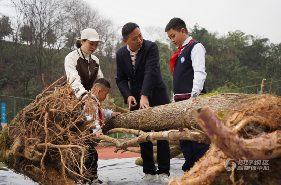 植树节 融汇沙小师生家长为校园添绿174