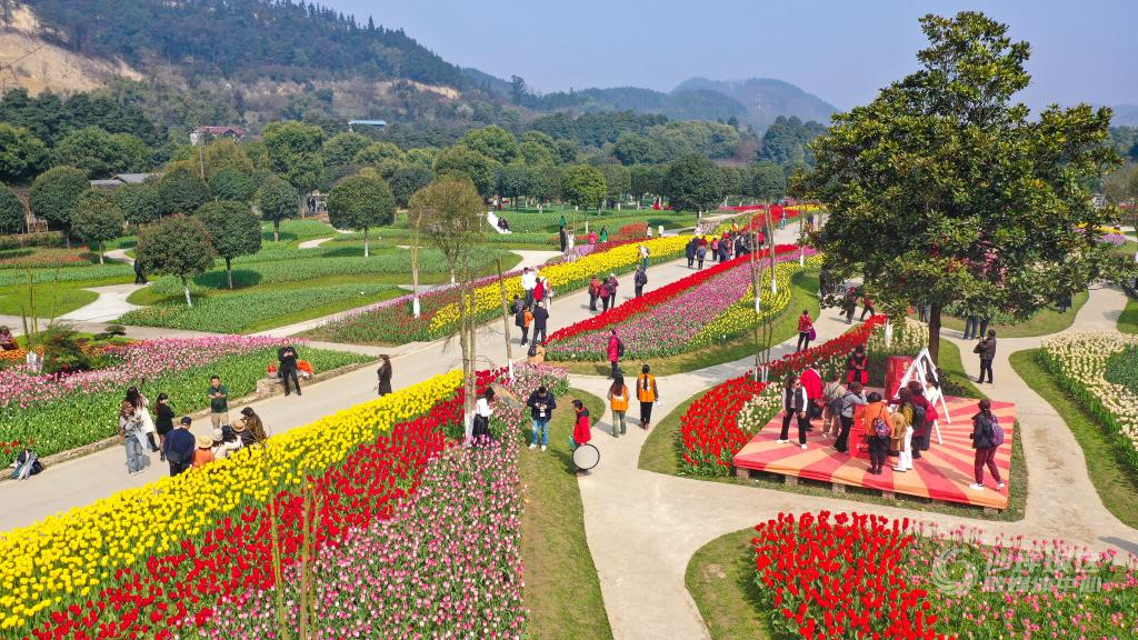 中梁镇太寺垭森林公园07-nep1_20240312_c002421066