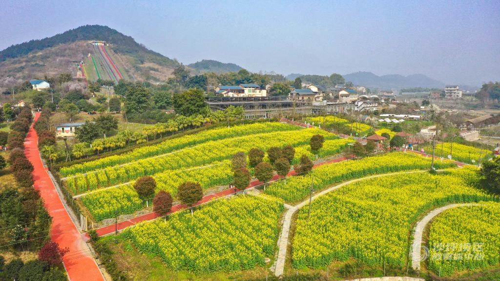 中梁镇开心农场04-nep1_20240312_c002421042