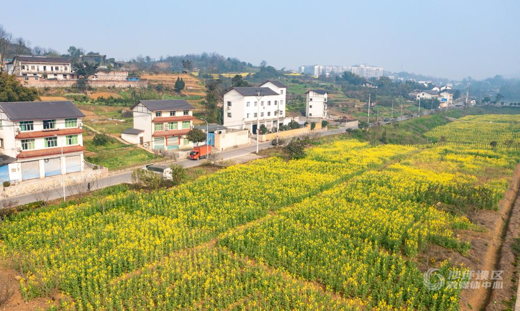 中梁镇茅山峡村火龙井05-nep1_20240312_c002421054