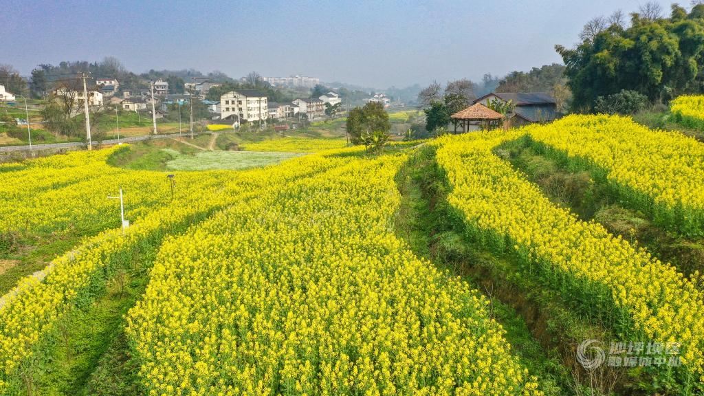 中梁镇茅山峡村火龙井02-nep1_20240312_c002421048