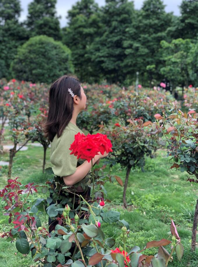 1595841128177028781.jpg qq截图20200727171200.jpg