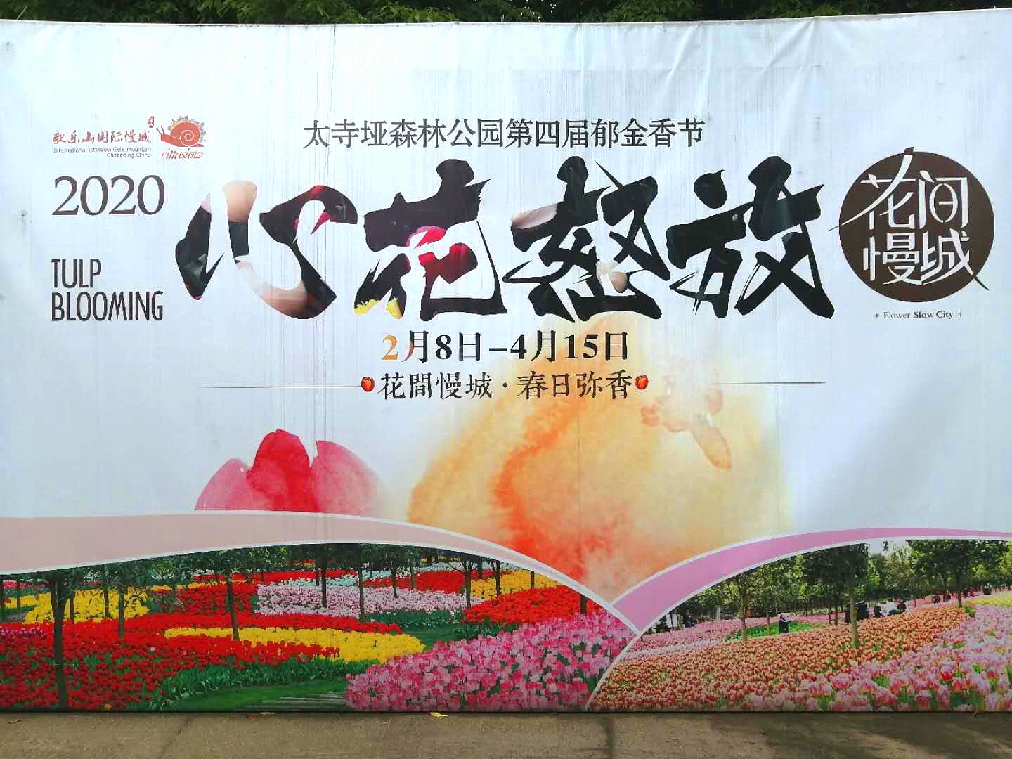 1595841134364017855.jpg 15900255875980972.jpg